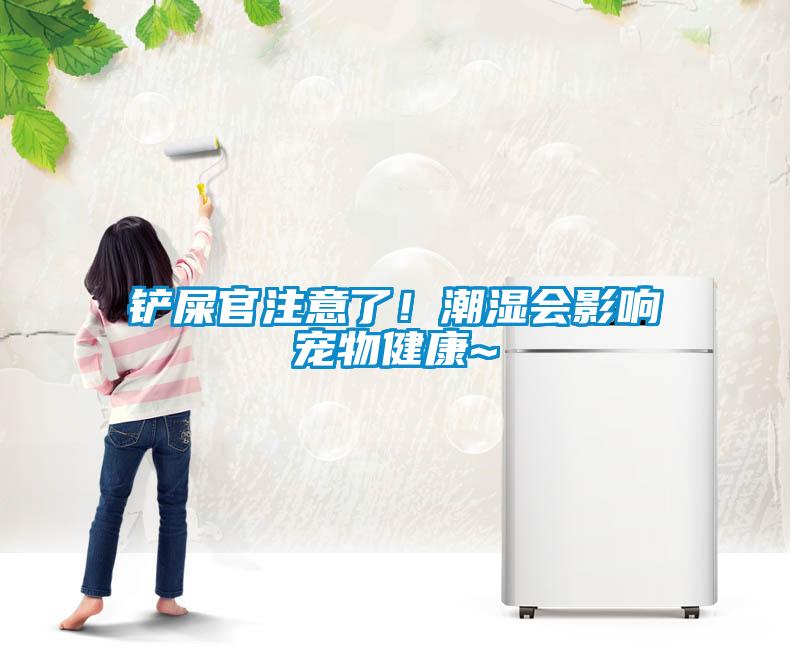 鏟屎官注意了！潮濕會影響寵物健康~