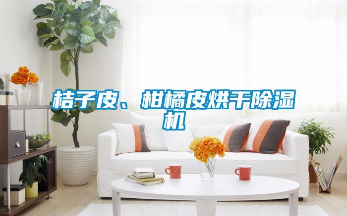 桔子皮、柑橘皮烘干除濕機
