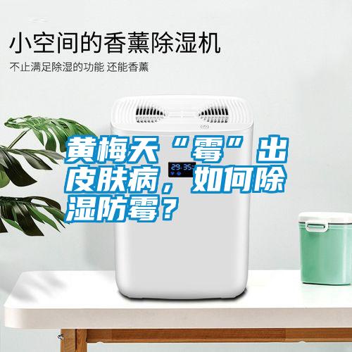 黃梅天“霉”出皮膚病，如何除濕防霉？