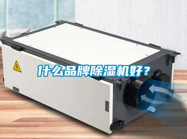 什么品牌除濕機好？