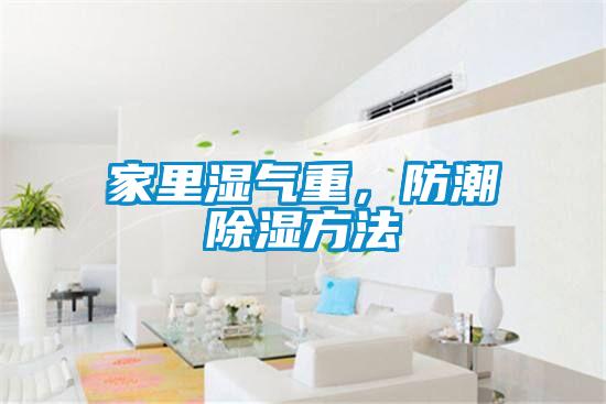 家里濕氣重，防潮除濕方法