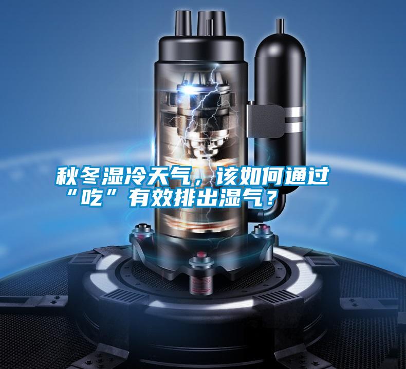 秋冬濕冷天氣，該如何通過“吃”有效排出濕氣？