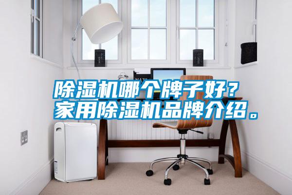 除濕機(jī)哪個(gè)牌子好？家用除濕機(jī)品牌介紹。