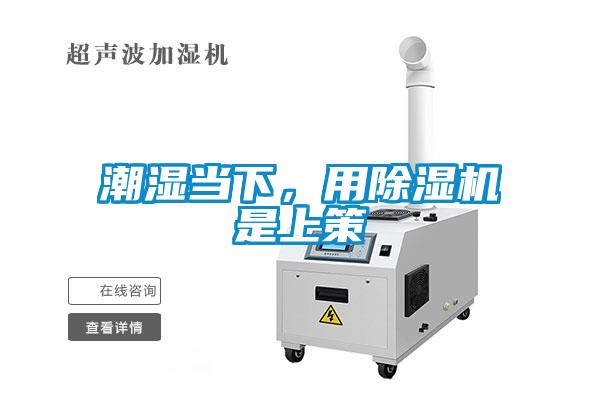 潮濕當(dāng)下，用除濕機(jī)是上策