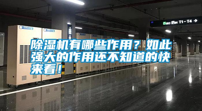 除濕機(jī)有哪些作用？如此強(qiáng)大的作用還不知道的快來看！