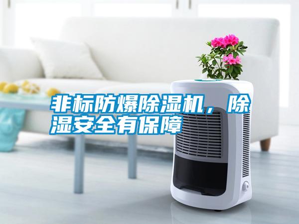 非標防爆除濕機，除濕安全有保障