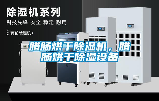 臘腸烘干除濕機(jī)，臘腸烘干除濕設(shè)備