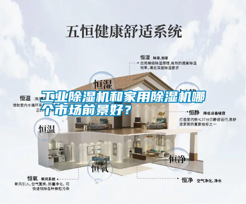 工業(yè)除濕機和家用除濕機哪個市場前景好？