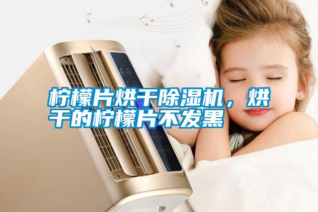 檸檬片烘干除濕機(jī)，烘干的檸檬片不發(fā)黑