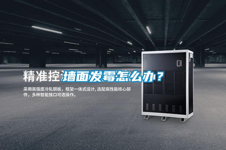 墻面發(fā)霉怎么辦？