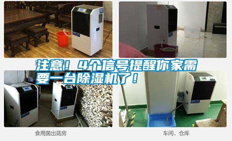 注意！4個(gè)信號(hào)提醒你家需要一臺(tái)除濕機(jī)了！