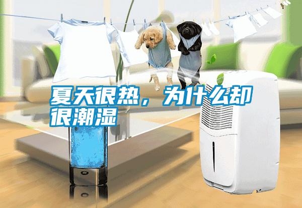 夏天很熱，為什么卻很潮濕