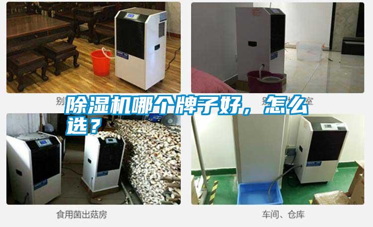 除濕機(jī)哪個(gè)牌子好，怎么選？