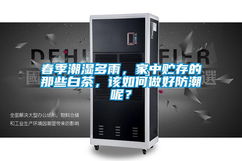 春季潮濕多雨，家中貯存的那些白茶，該如何做好防潮呢？