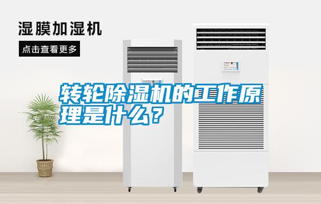 轉(zhuǎn)輪除濕機(jī)的工作原理是什么？