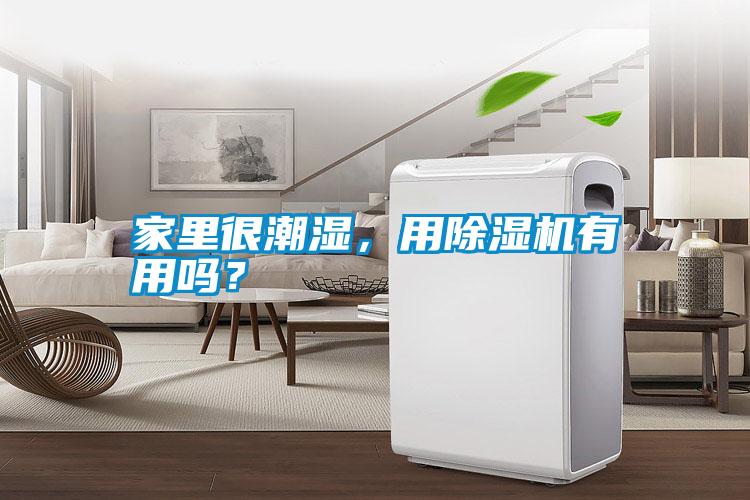 家里很潮濕，用除濕機(jī)有用嗎？