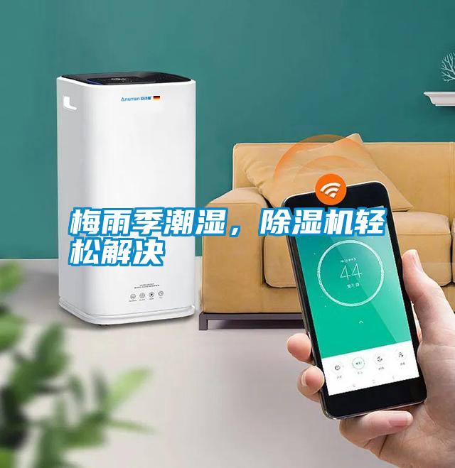 梅雨季潮濕，除濕機輕松解決