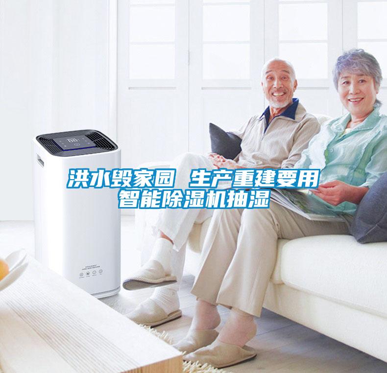 洪水毀家園 生產(chǎn)重建要用智能除濕機抽濕