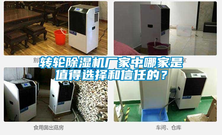 轉(zhuǎn)輪除濕機廠家中哪家是值得選擇和信任的？