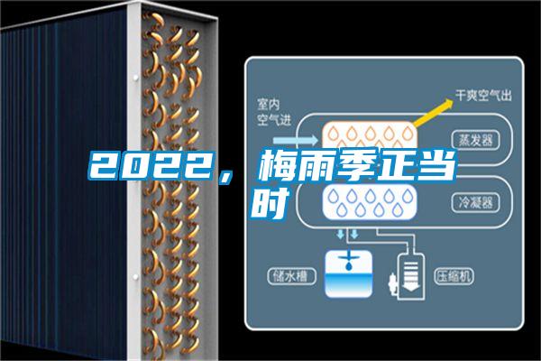 2022，梅雨季正當時