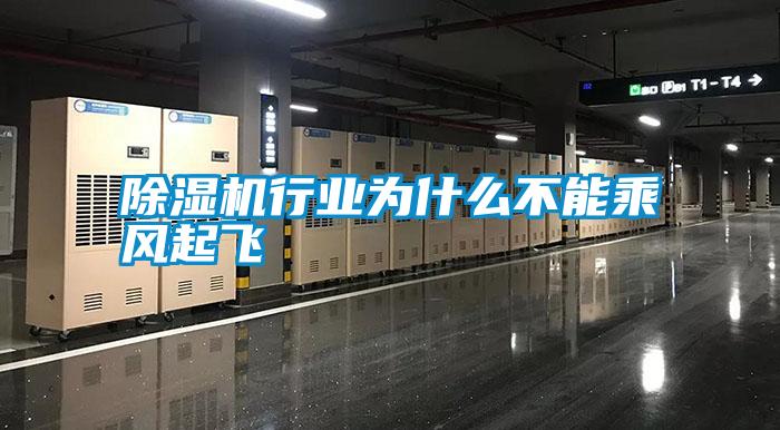除濕機(jī)行業(yè)為什么不能乘風(fēng)起飛