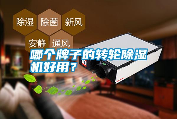 哪個(gè)牌子的轉(zhuǎn)輪除濕機(jī)好用？