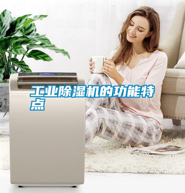 工業(yè)除濕機(jī)的功能特點(diǎn)