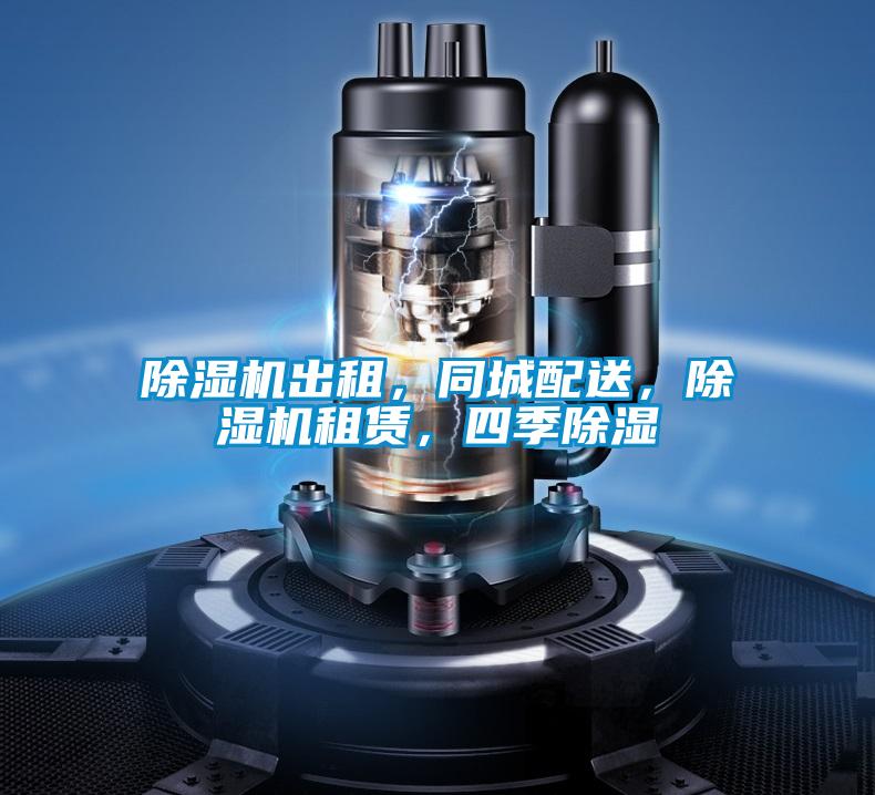除濕機(jī)出租，同城配送，除濕機(jī)租賃，四季除濕