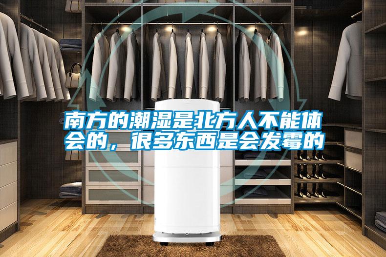 南方的潮濕是北方人不能體會的，很多東西是會發(fā)霉的