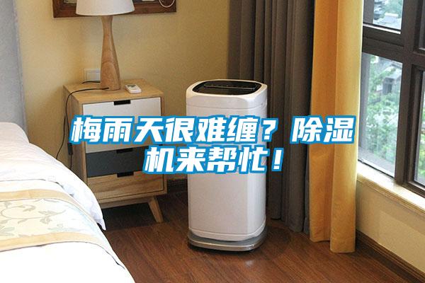 梅雨天很難纏？除濕機來幫忙！