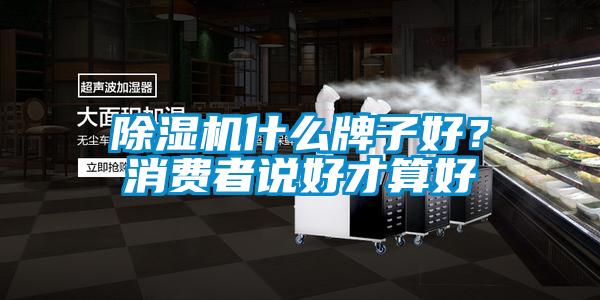 除濕機什么牌子好？消費者說好才算好