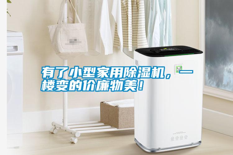 有了小型家用除濕機(jī)，一樓變的價(jià)廉物美！