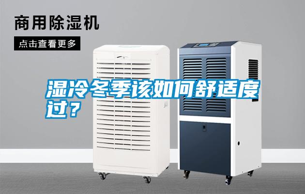 濕冷冬季該如何舒適度過？