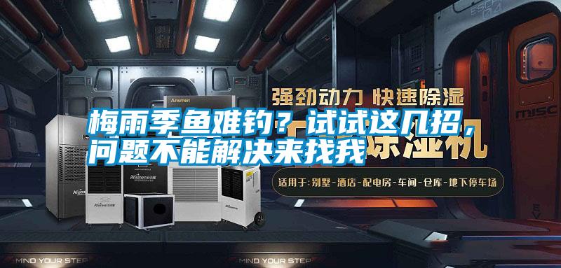 梅雨季魚難釣？試試這幾招，問題不能解決來找我