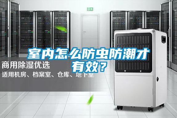 室內(nèi)怎么防蟲防潮才有效？