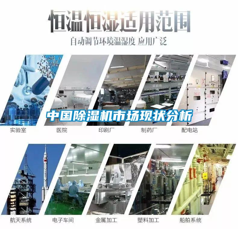 中國除濕機(jī)市場現(xiàn)狀分析