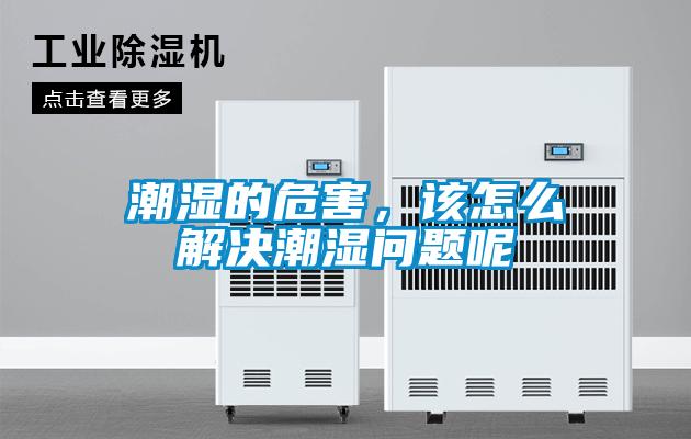 潮濕的危害，該怎么解決潮濕問(wèn)題呢