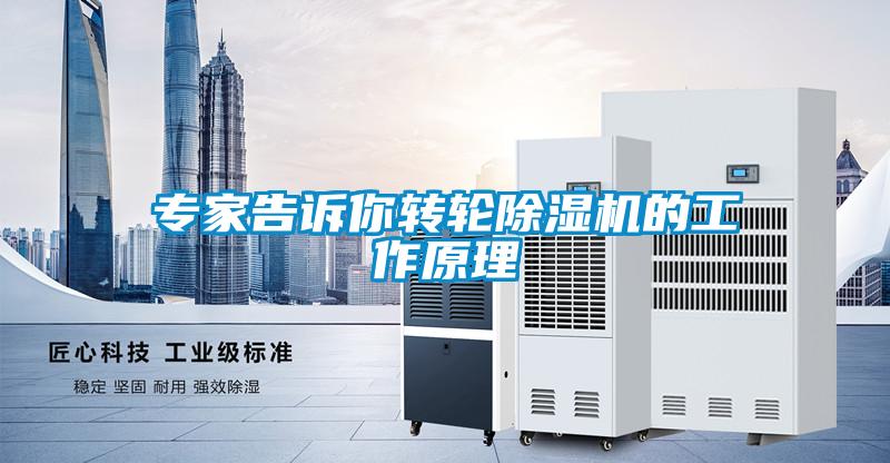 專家告訴你轉(zhuǎn)輪除濕機的工作原理