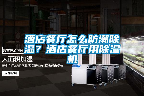 酒店餐廳怎么防潮除濕？酒店餐廳用除濕機