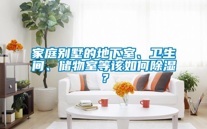 家庭別墅的地下室、衛(wèi)生間、儲(chǔ)物室等該如何除濕？