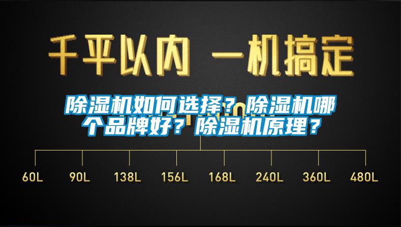 除濕機如何選擇？除濕機哪個品牌好？除濕機原理？