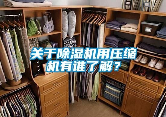 關于除濕機用壓縮機有誰了解？
