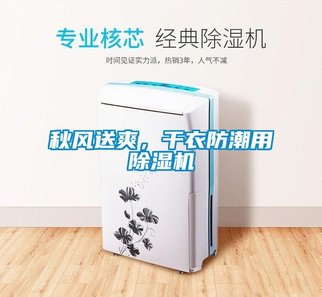 秋風送爽，干衣防潮用除濕機