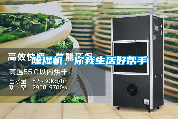 除濕機，你我生活好幫手