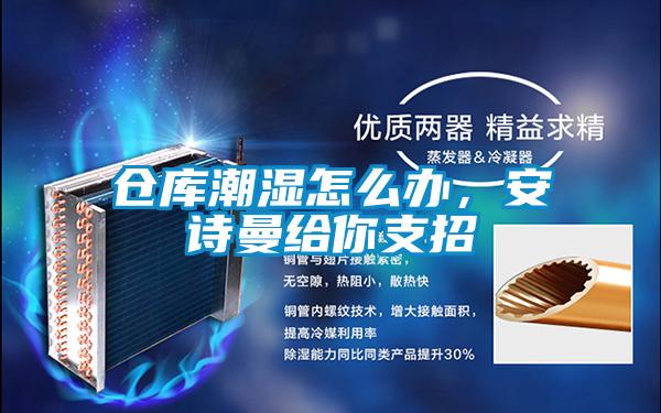 倉庫潮濕怎么辦，安詩曼給你支招