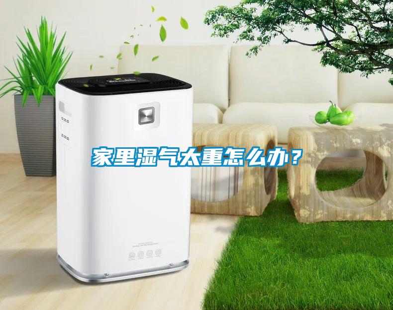 家里濕氣太重怎么辦？