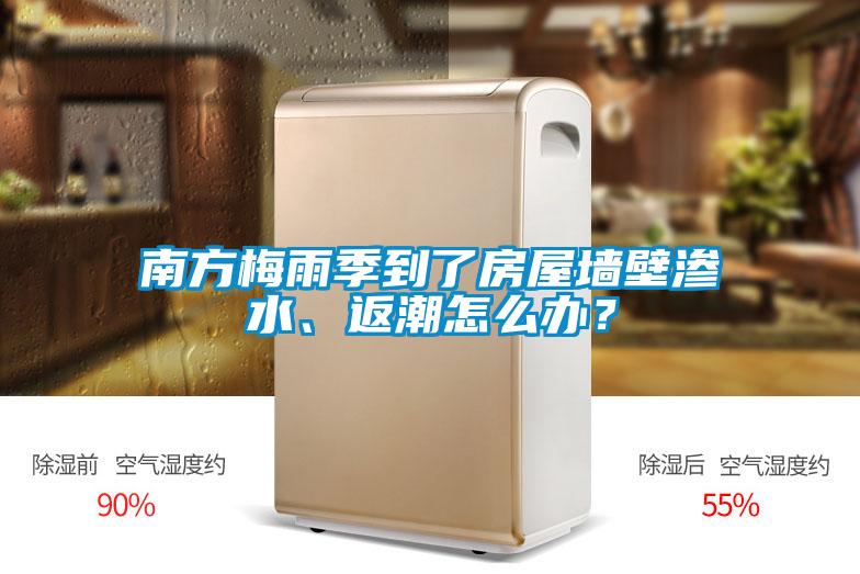 南方梅雨季到了房屋墻壁滲水、返潮怎么辦？