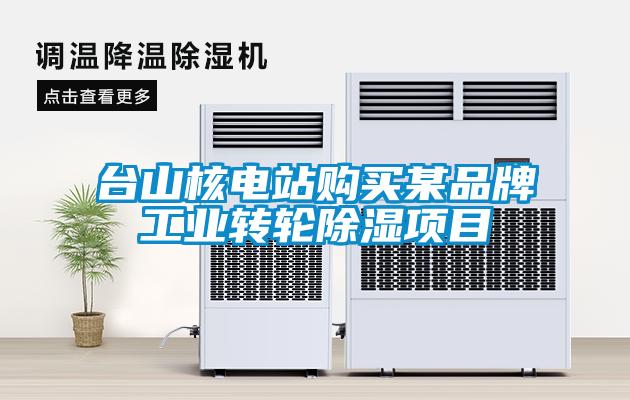 臺山核電站購買某品牌工業(yè)轉(zhuǎn)輪除濕項(xiàng)目