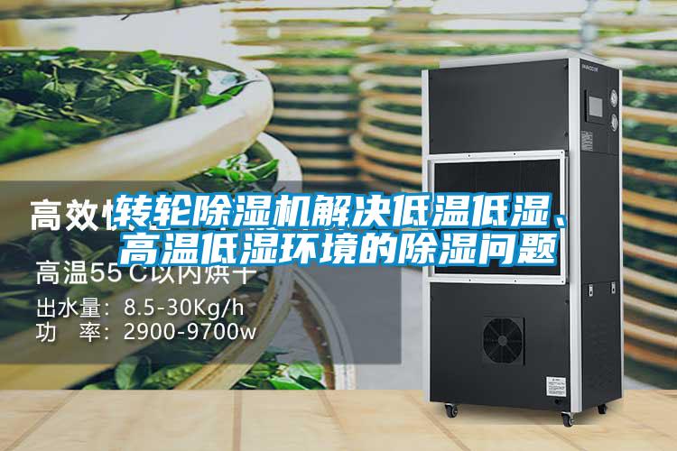 轉輪除濕機解決低溫低濕、高溫低濕環(huán)境的除濕問題