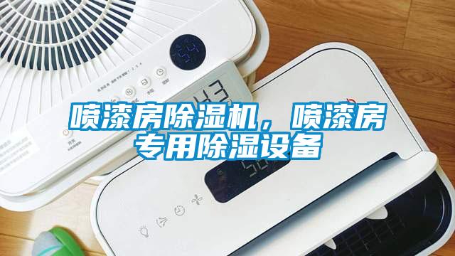 噴漆房除濕機，噴漆房專用除濕設(shè)備
